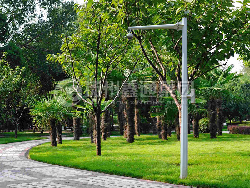 DJG-022，電子警察桿，八棱懸臂球機(jī)桿